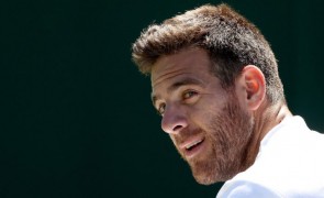 Juan Martin del Potro cu ochii în lacrimi, despre probabila sa retragere din activitate
