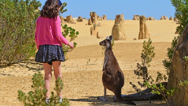 Australia își redeschide granițele, după aproape doi ani