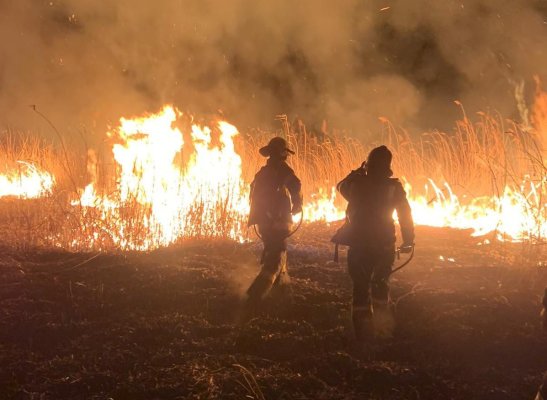 Val de incendii violente de vegetație uscată, în județul Tulcea. Video
