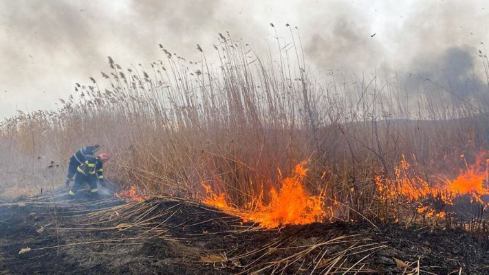 Incendiu de vegetație uscată, în apropierea localității Satu Nou