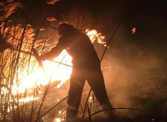 Incendiu între Siliştea şi Ţepeş Vodă