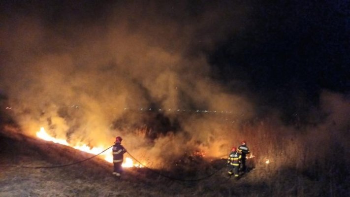 Incendiu în spatele depozitului Dedeman, din Techirghiol