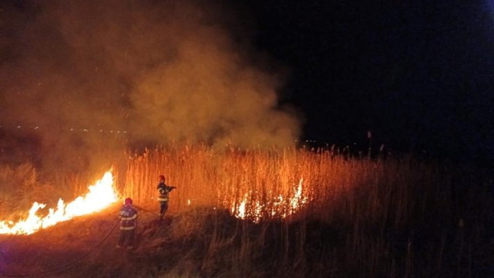 Incendiu de vegetație uscată, în zona Deltei Dunării