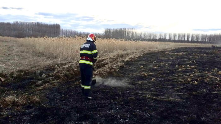 Incendiu de vegetație uscată și stuf, în apropierea localității Turcoaia