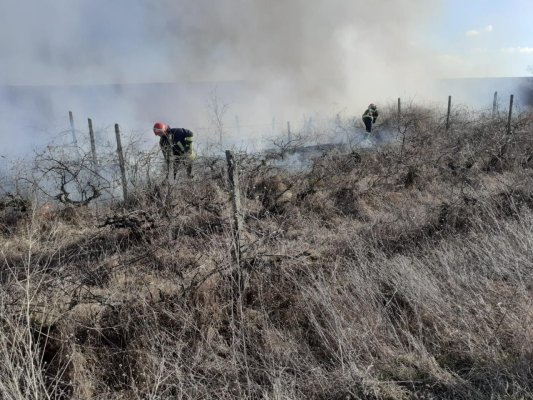 Incendiu de vegetație uscată, în apropiere de Tulcea. Video