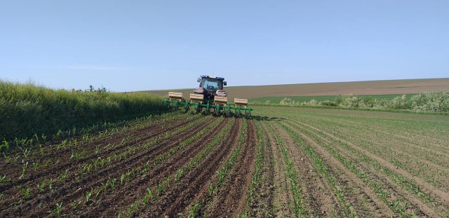 Familia Guțu rămâne fără 3 hectare de teren, din cauza datoriilor