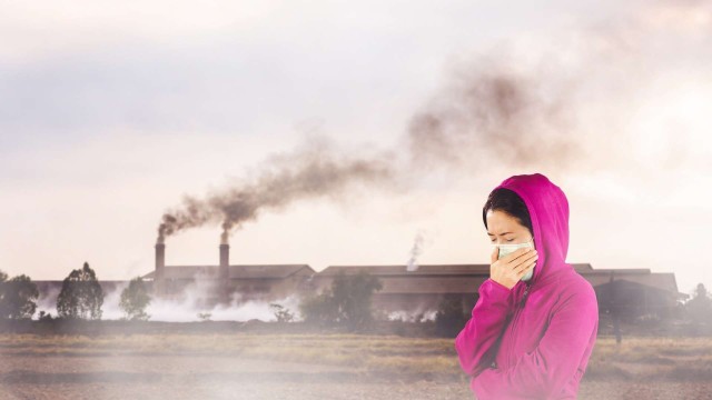 ONU: 'Poluarea provoacă un număr mai mare de decese decât pandemia'