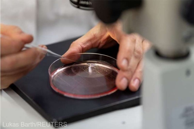 O femeie a devenit cea de-a treia persoană din lume care s-a vindecat de HIV