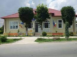 Primăria Limanu anunță startul autorecenzării pentru Recensământul populației și locuinței 2021