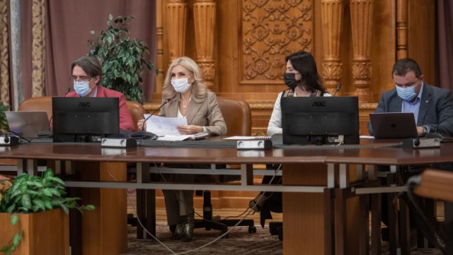 Scandal la votul din comisiile parlamentare pentru judecătorul României la CEDO