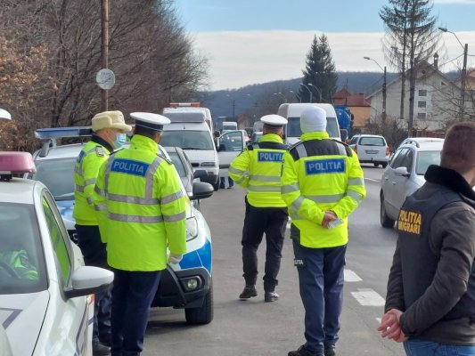 Polițiștii constănțeni verificări în domeniul silvic. Dosar penal pentru infracțiuni silvice