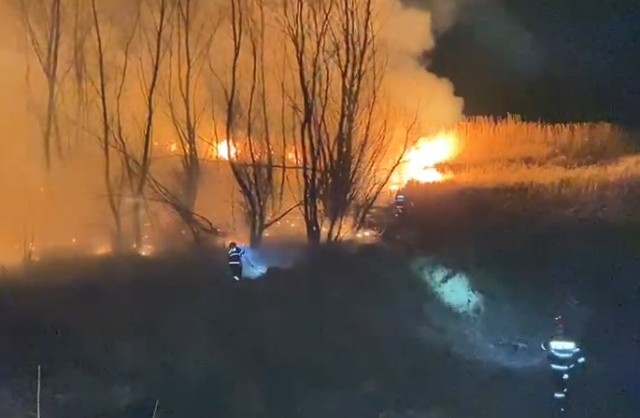 Incendiu de vegetație uscată, între localitățile Băltenii de Sus și Mahmudia