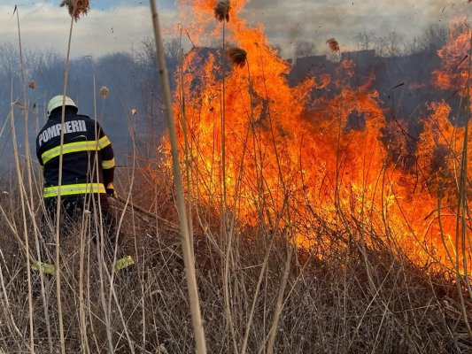 Incendiu între localitățile I.C. Brătianu și Grindu și zona Lacului Somova