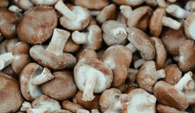 Beneficiile consumului de ciuperci shiitake pentru organism