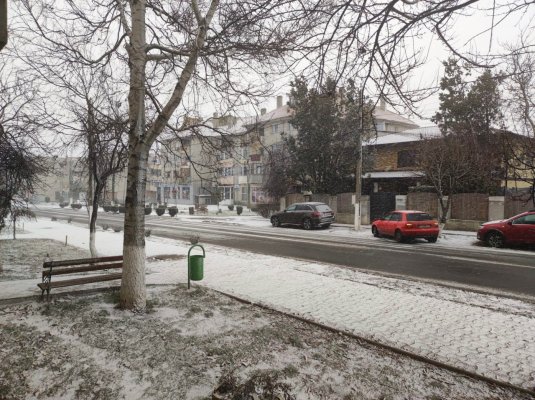 Cod galben de ninsori și viscol, în Constanța! 
