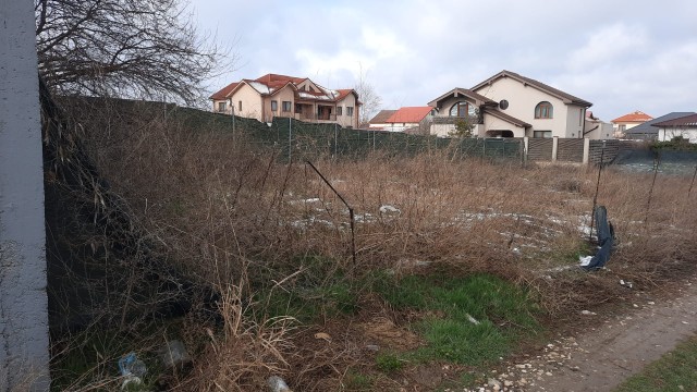 Bela Tănase va ridica două blocuri și lângă Registrul Comerțului. VIDEO