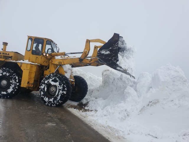Drumarii au acționat în județul Constanța. VIDEO