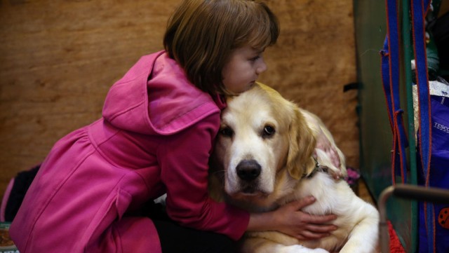 La ce trebuie să fie atenți părinții când în casă există animale de companie