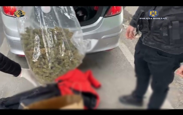 Flagrant: Au primit 11 kg de canabis prin curierat!