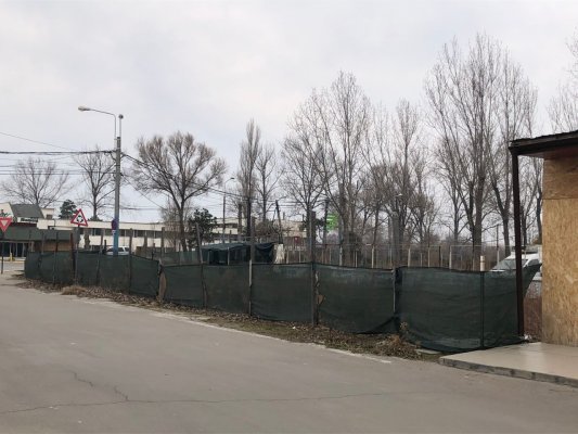 În Mamaia, niciun petec de teren nu rămâne neocupat!