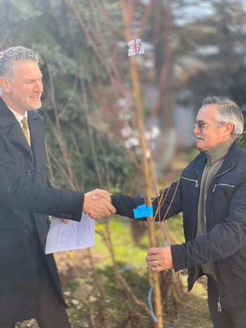 ”Un pom fructifer pentru fiecare casă”. Primii pomi fructiferi au ajuns la năvodăreni