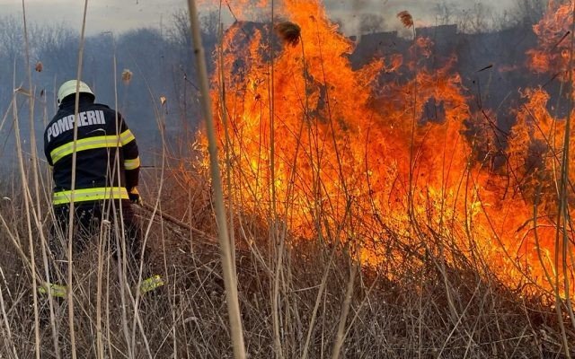 Incendiu de vegetație uscată între localitățile Nazarcea și Ovidiu