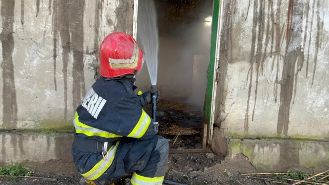 Incendiu la un grajd dezafectat din localitatea Parcheș. Video