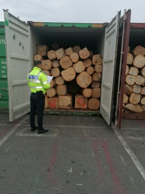 Lemn prelucrat în valoare de 100.000 de euro, confiscat de polițiști