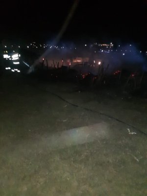 Mai multe animale moarte, în urma unui incendiu, în localitatea Topolog