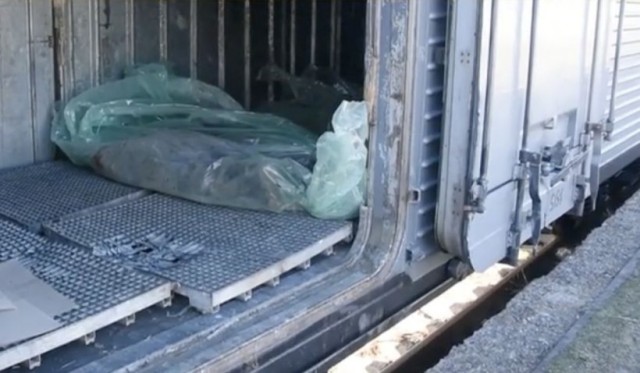 Cadavrele militarilor ruși, strânse și îngropate de ucraineni