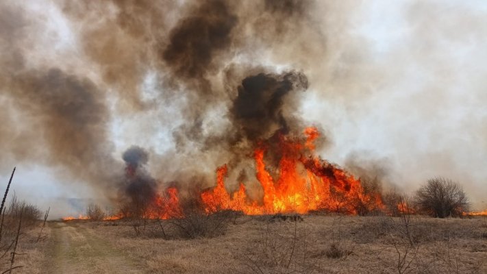 Incendiu uriaș de vegetație uscată între localitățile I.C. Brătianu și Grindu