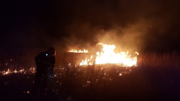 Incendiu de vegetație, în zona Turcoaia