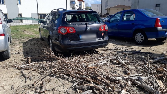Un copac a făcut praf o mașină, în Constanța