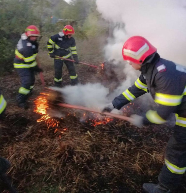 Incendiu lângă un grajd din localitatea Tortoman