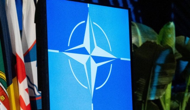 Financial Times: SUA, Germania şi Ungaria se opun aderării Ucrainei la NATO
