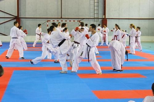 Rezultatele sportivilor la Cupa Medgidia la kickboxing şi kung-fu „Pentru tine, Matei!”