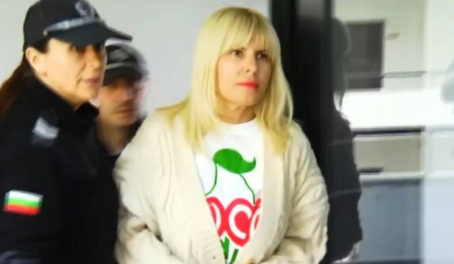 Ultima carte a Elenei Udrea în dosarul „Gala Bute”, amânată de judecătorii din România