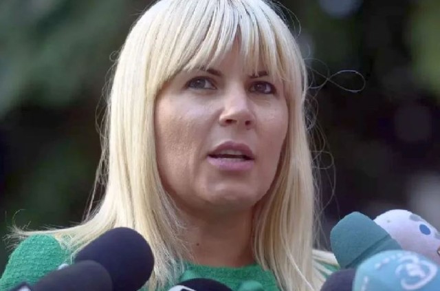 Elena Udrea rămâne în închisoare! Decizia este definitivă