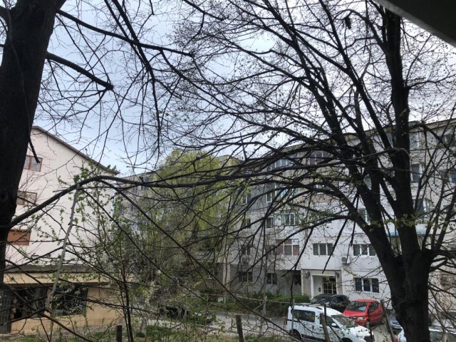 Nu scăpăm de vânt și temperaturi scăzute nici săptămâna aceasta