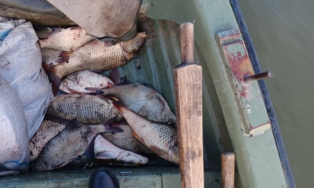 Braconaj piscicol în zona Rezervației Biosferei Delta Dunării