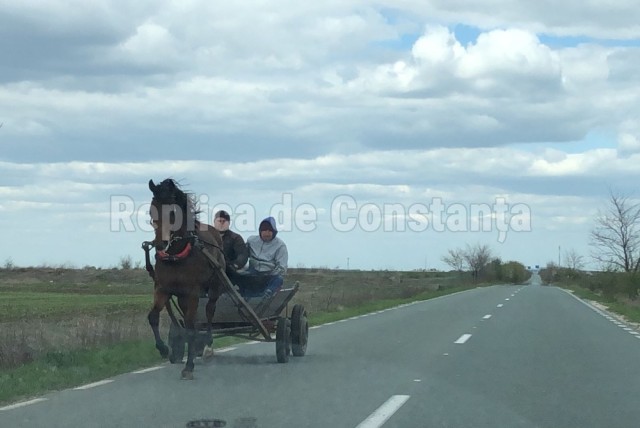 Căruța rămâne principalul mijloc de transport al oamenilor din satele dobrogene. Video