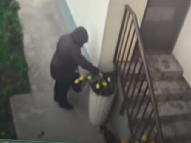 A fost identificat hoțul care a furat flori de pe strada Dezrobirii