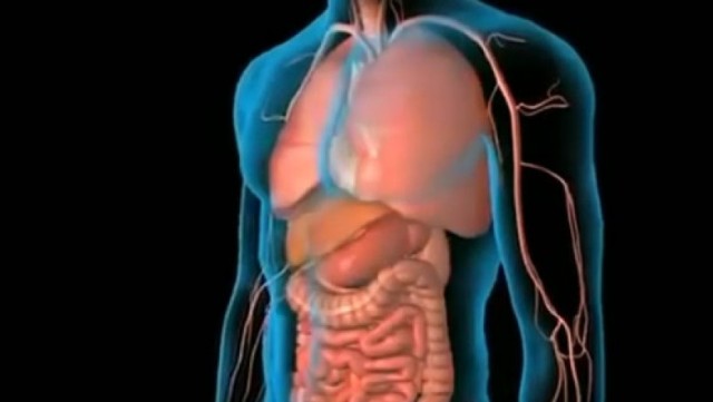 Anevrismul de aortă, o boală fatală. Cum poate fi prevenit