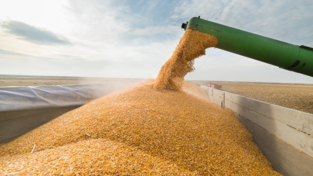 Căile ferate ucrainene au restricţionat exporturile de produse agricole spre Polonia şi România