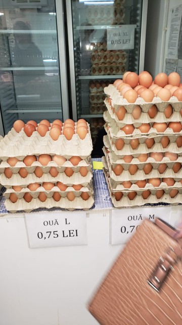 ANPC a controlat modul în care se comercializează ouăle în România