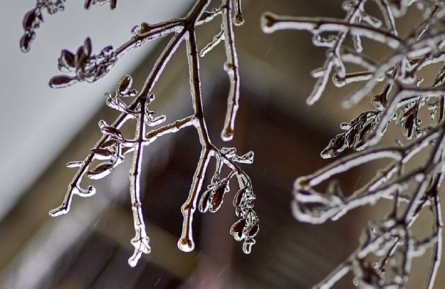 Un val de frig polar vine peste România