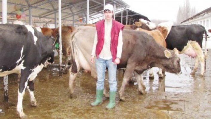 Legea laptelui şi a produselor lactate a fost promulgată